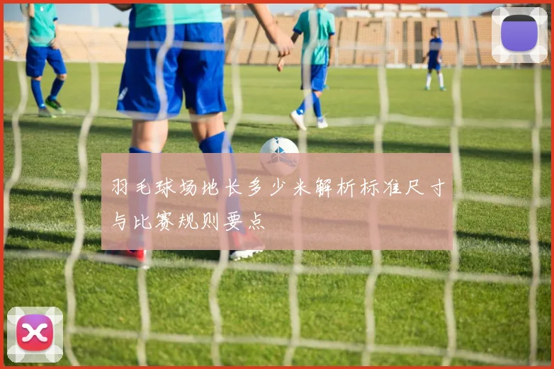 羽毛球场地长多少米解析标准尺寸与比赛规则要点