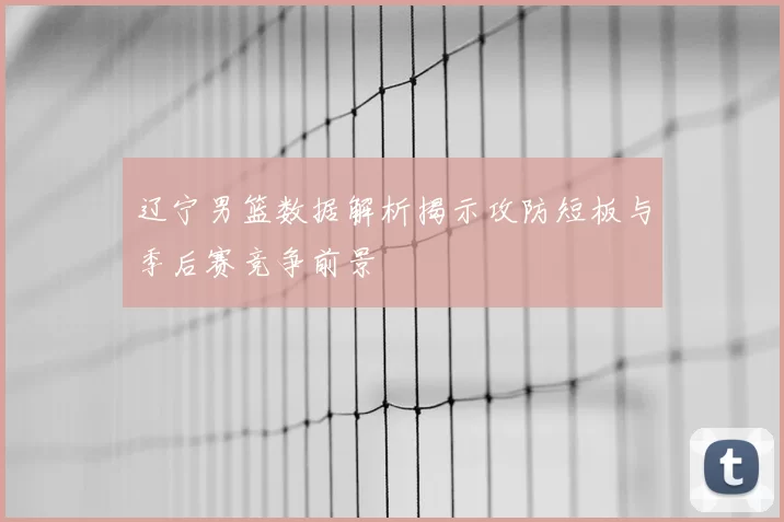 辽宁男篮数据解析揭示攻防短板与季后赛竞争前景