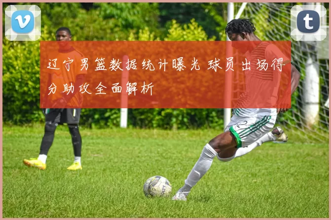 辽宁男篮数据统计曝光 球员出场得分助攻全面解析