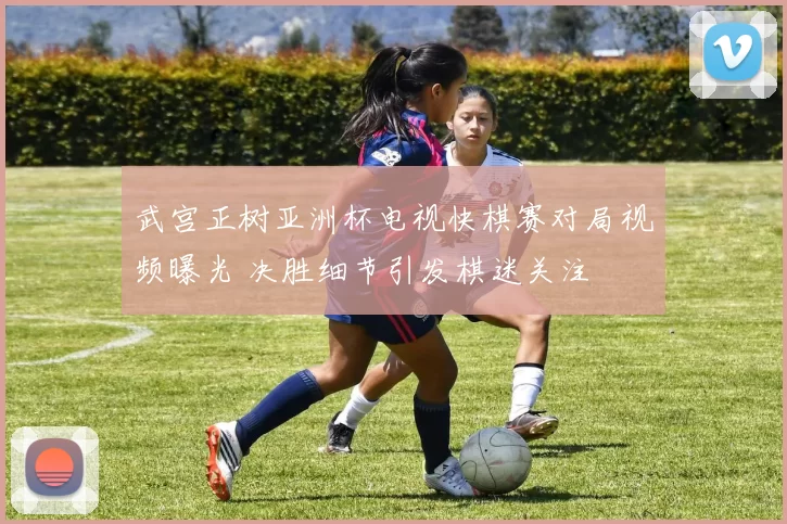 武宫正树亚洲杯电视快棋赛对局视频曝光 决胜细节引发棋迷关注