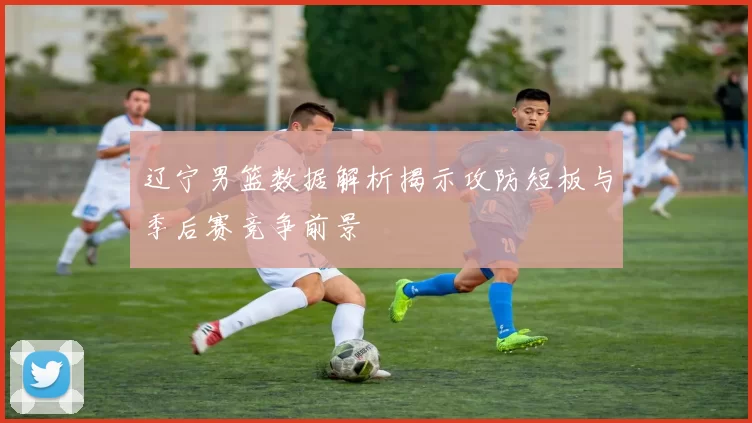 辽宁男篮数据解析揭示攻防短板与季后赛竞争前景